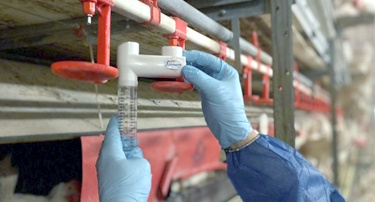 stal agrarisch onderhoud